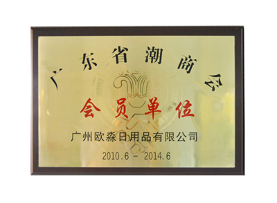 南方豪强展现实力，赢得国际关注和认可的简单介绍
