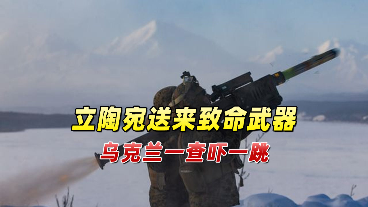 立陶宛被乌克兰击败，开局告捷的简单介绍